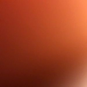 Meet your Posher, Lucy